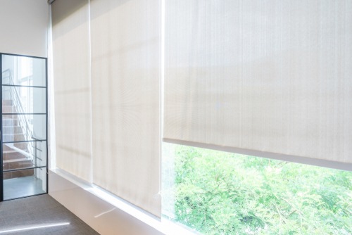 Shutters vs. Blinds: Choosing the Ideal Window Covering for Your Home's Needs